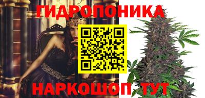 ECSTASY Балашиха