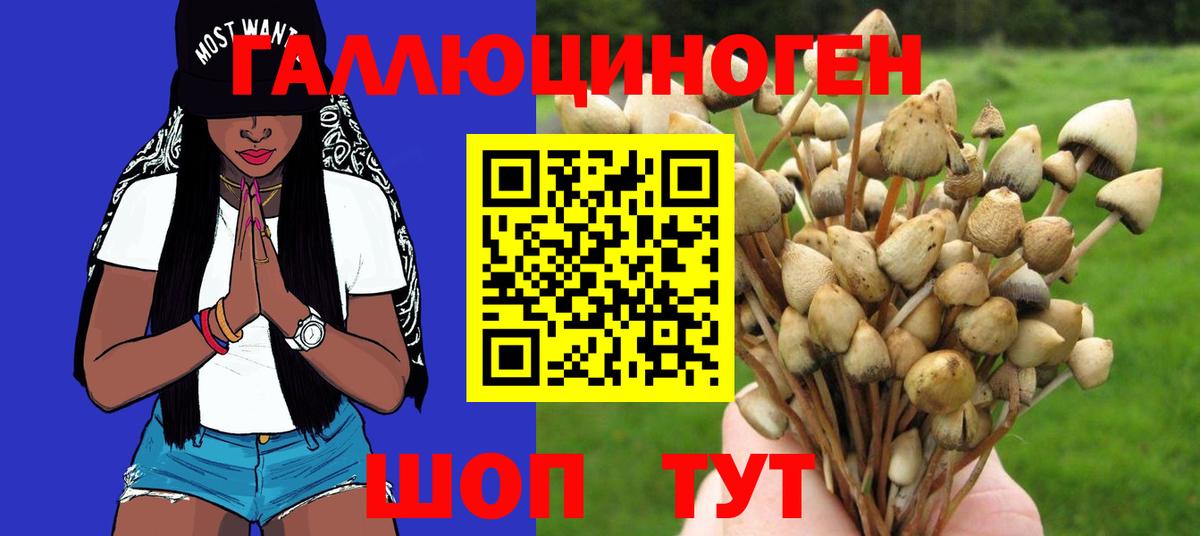 Псилоцибиновые грибы прущие грибы  Галлюциногенные грибы мухоморы  Вход с VPN  Гусев 