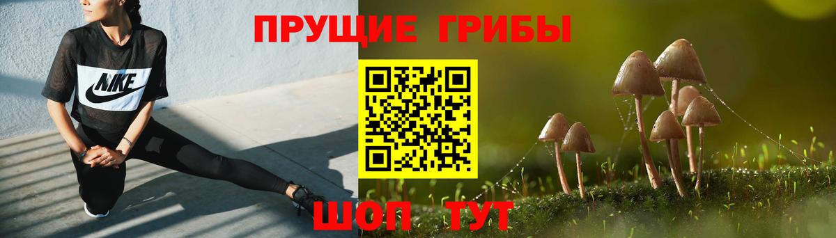 Псилоцибиновые грибы прущие грибы Гусев